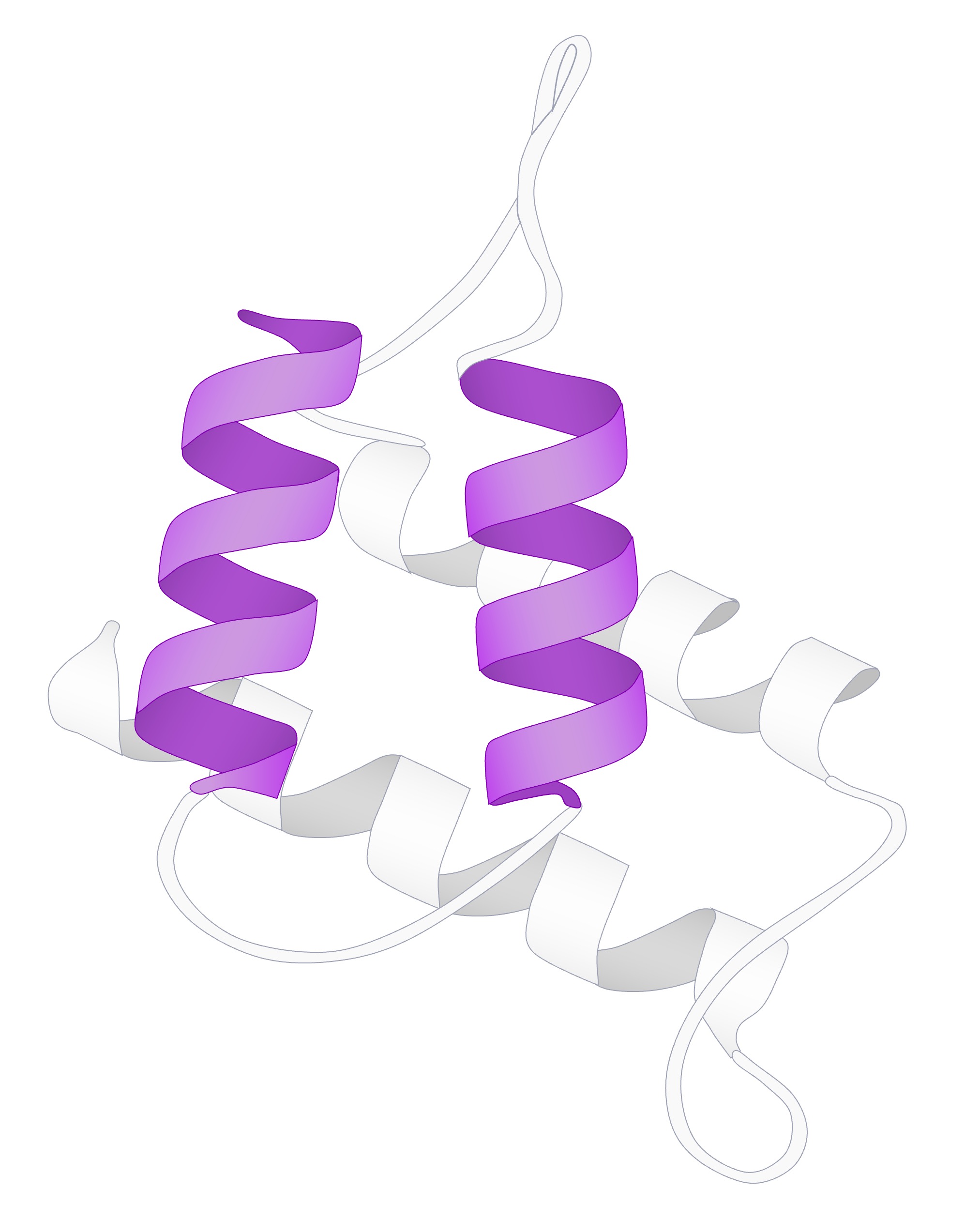 Protein structure